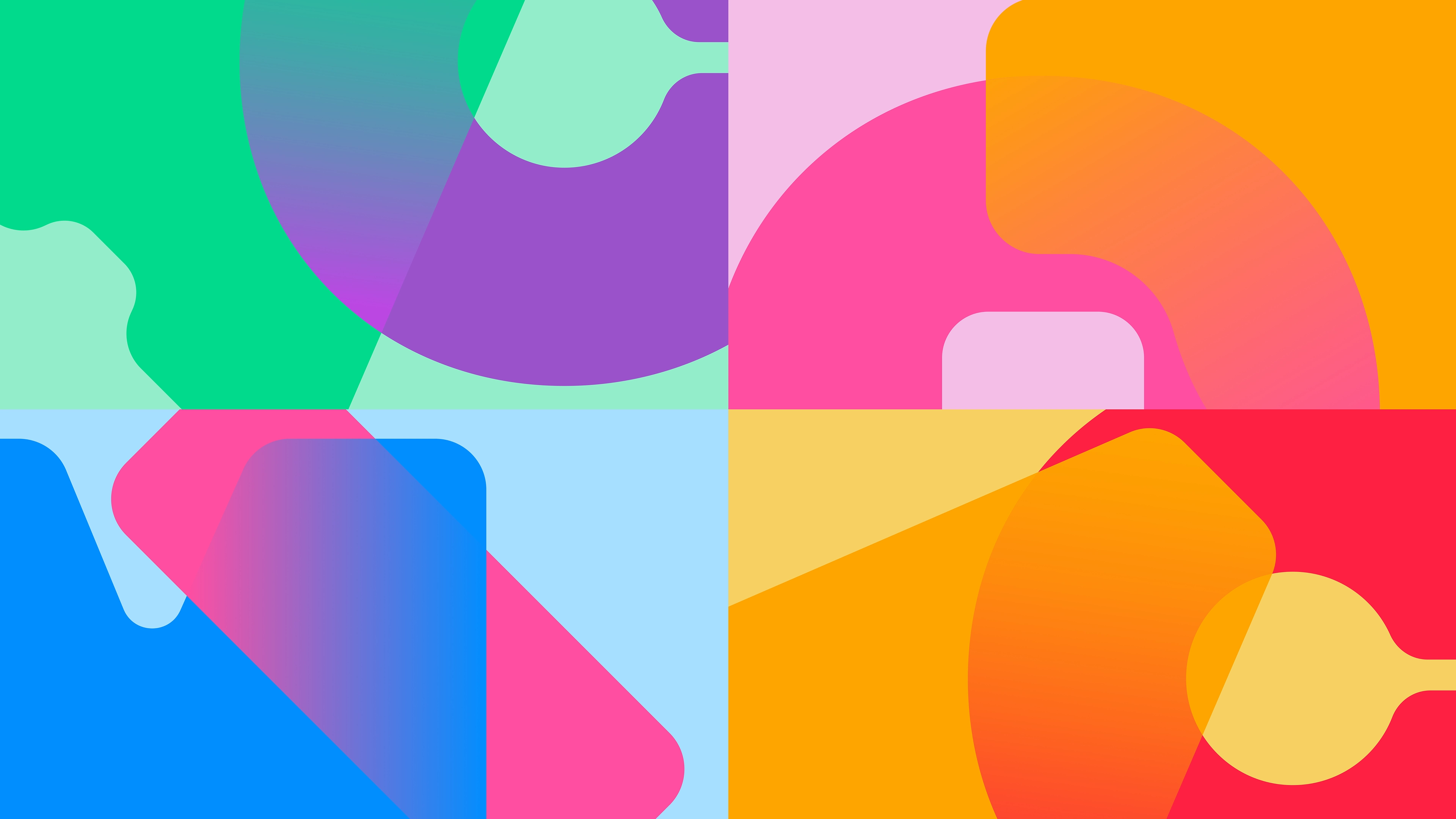 Companio Brand Elements